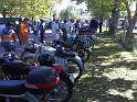 200609102333 (Medium)